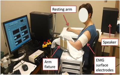 The Reticulospinal Pathway Does Not Increase Its Contribution to the Strength of Contralesional Muscles in Stroke Survivors as Compared to Ipsilesional Side or Healthy Controls